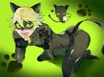 Chat noir hentai ✔ Cat noir gay sex on Hentai Porn TV Аниме 